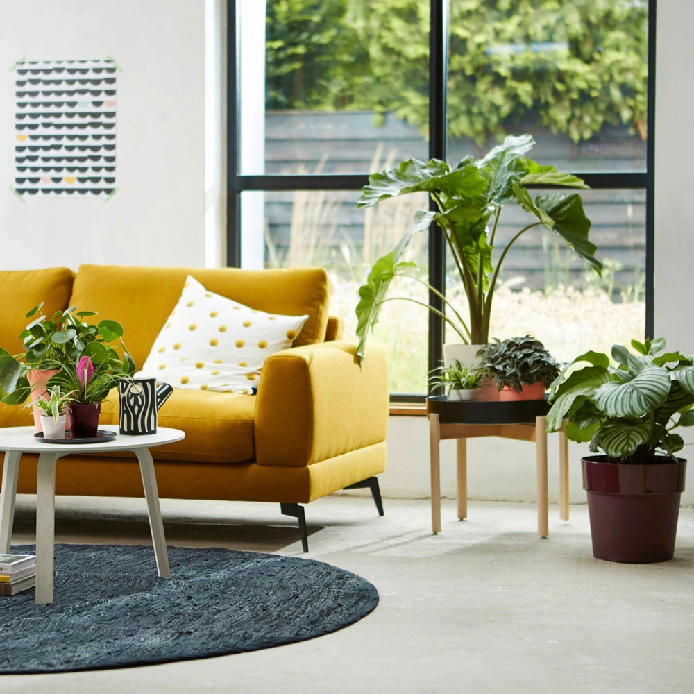 Elho Blumentopf Maulbeere 35x32cm 21,9L – Bild 2