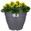 Elho Blumentopf Anthrazit 35x26cm 11,8L