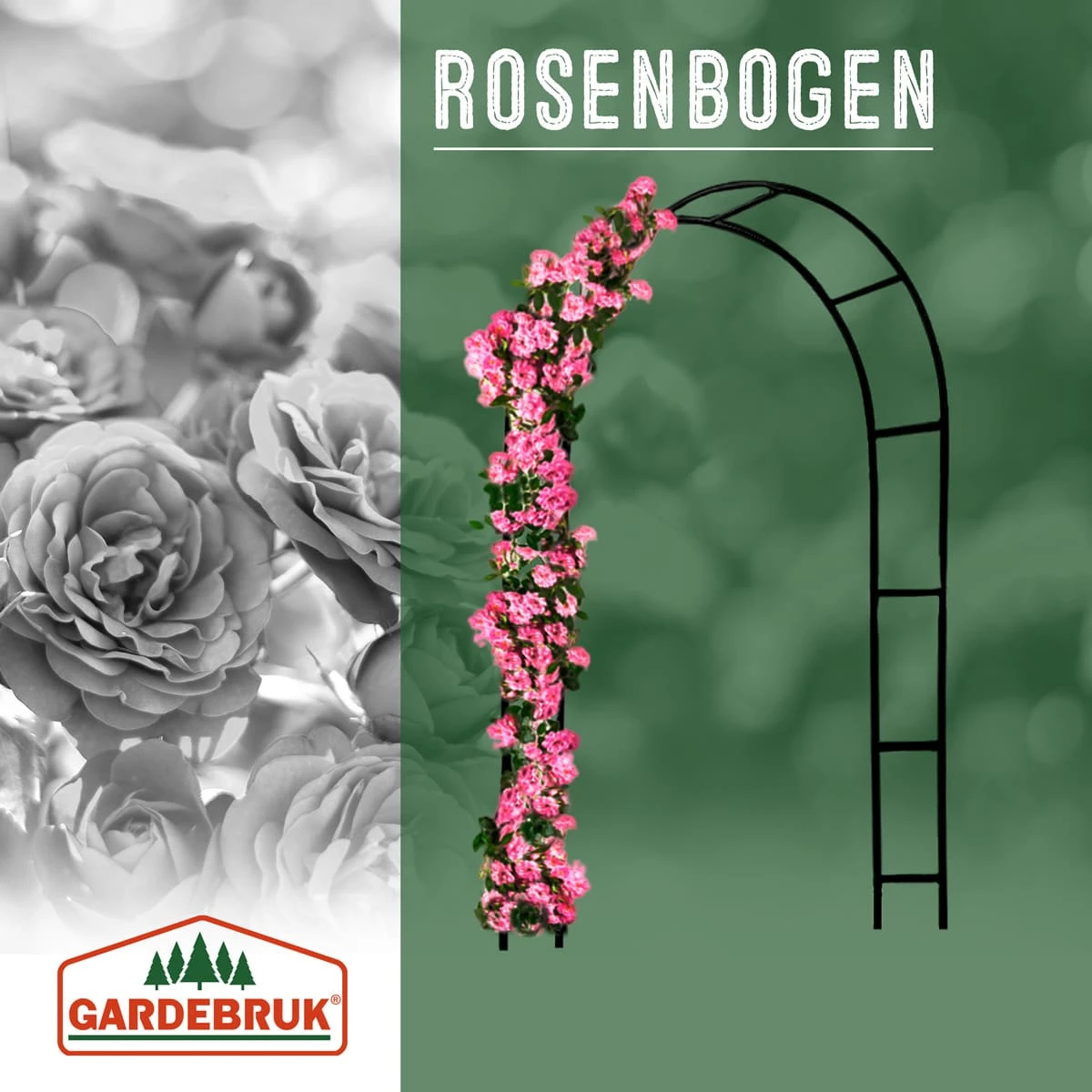 Rosenbogen 4er-Set Schwarz 240x37x140cm – Bild 3