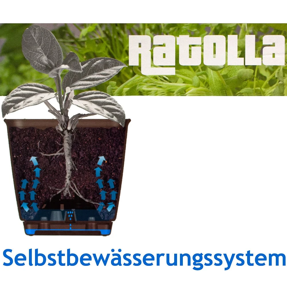 Balkonkasten Ratolla Anthrazit 49x16x17,5cm – Bild 2